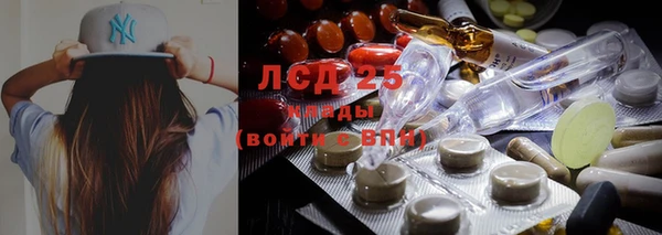 индика Касимов